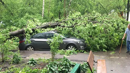 Furtună puternică în Moscova: Bilanţul victimelor a crescut la 15 morţi şi 200 de răniţi, inclusiv copii FOTO şi VIDEO