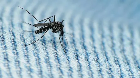 Atenţionare de călătorie emisă de MAE. Actualizarea situaţiei internaţionale determinată de transmiterea virusului Zika