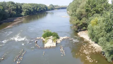 Greenpeace: În râul Someş, ape reziduale contaminate cu resturi animale şi materii fecale