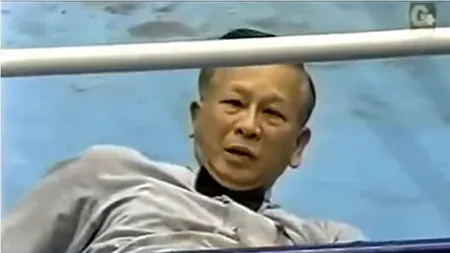 Top 5 knock-out-uri în box în care arbitrii au fost victime colaterale VIDEO