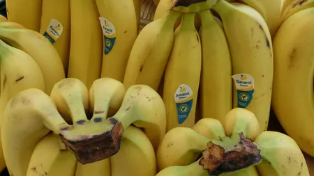 Ce se întâmplă în corpul tău dacă mănânci două banane pe zi. Toate cele 7 efecte sunt foarte importante