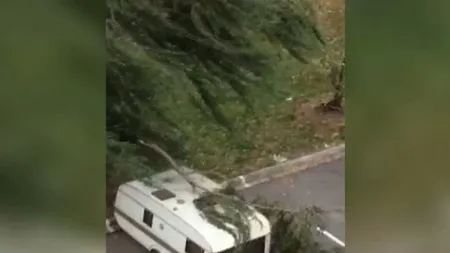 Furtuni puternice în sudul ţării. O creangă, doborâtă de vânt peste o familie în parcul IOR; vântul a făcut ravagii în Giurgiu