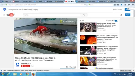 Imagini şocante filmate la grădina zoologică. Un crocodil muşcă de cap un îngrijitor VIDEO