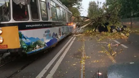 Furtuna a făcut ravagii în ţară. Copaci doborâţi pe case, maşini şi carosabil, din cauza vijeliei UPDATE