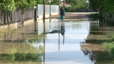 Ploile torenţiale au făcut ravagii în ţară. Copaci căzuţi, gospodării şi drumuri inundate UPDATE