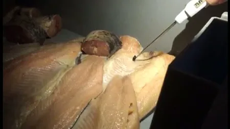 Scadal într-o piaţă din Constanţa. Zeci de kilograme de peşte stricat au fost găsite de inspectorii OPC