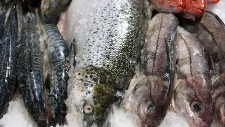 Fii atent când cumperi aceste tipuri de peşte! Iată de ce