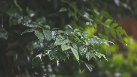 PROGNOZA METEO pentru zilele următoare. Vremea continuă să fie capricioasă. Iată când va fi cald şi frumos