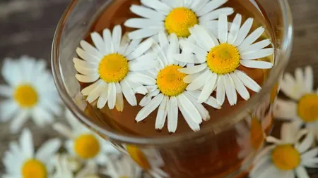 Remedii naturale pentru vaginita bacteriană