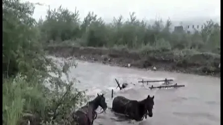 Tragedie după ploile torenţiale. Doi oameni au fost luaţi de viitură UPDATE
