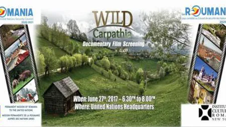 Filmul documentar 