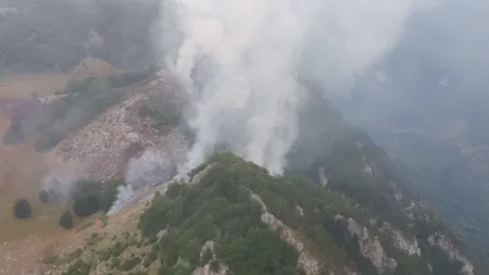 Incendiu devastator într-o pădure de pin negru de Banat GALERIE FOTO UPDATE