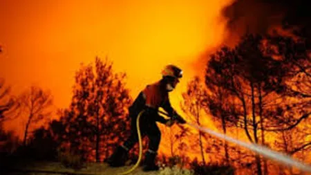Albania cere ajutorul NATO pentru stingerea incendiilor