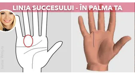 Succesul este înscris în palma ta. Ce este linia lui Apollo