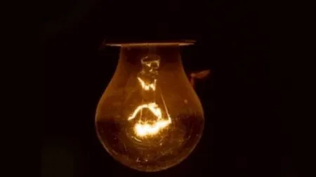 Zambia: O maimuţă a lăsat orașul Livingstone fără curent electric