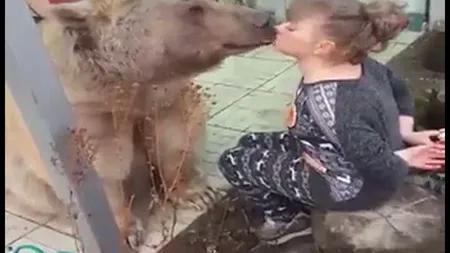 Această femeie are ca animal de companie un uriaş urs grizzly. Imaginile cu cei doi au făcut înconjurul internetului