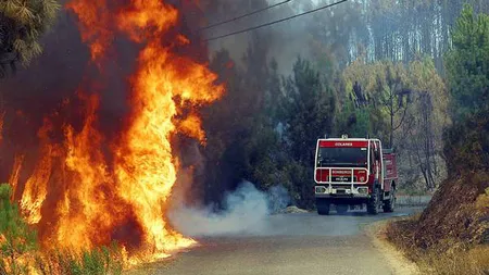 Un român este acuzat că ar fi provocat incendii de vegetaţie în Italia. Bărbatul a fost arestat