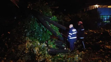 Vijeliile fac prăpăd în ţară: În judeţul Olt, 3000 de locuinţe au rămas fără curent electric