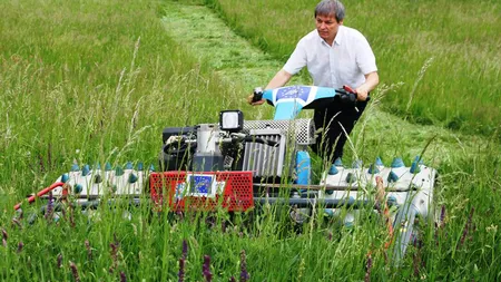 Dacian Cioloş îi răspunde lui Dragnea după ce acesta s-a lăudat cu producţia agricolă: Guvernarea PSD face spicul mai gros şi mai înalt