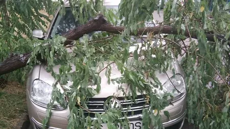 Vijeliile fac prăpăd în judeţul Hunedoara. Două acoperişuri de bloc au fost luate pe sus, iar mai mulţi copaci au fost doborâţi