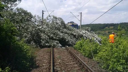 Circulaţia feroviară pe magistrala 900 Craiova - Drobeta-Turnu Severin a fost reluată în condiţii normale