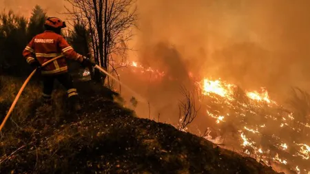 Incendiile fac ravagii în Portugalia. Peste 118.000 de hectare au fost distruse de flăcări