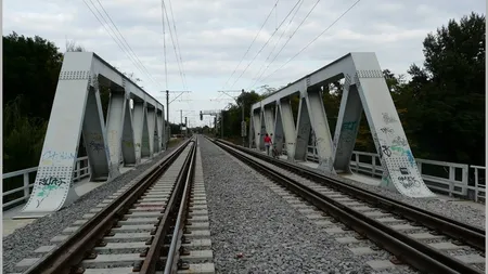 Primăria Capitalei: Pasarela care traversează lacul Herăstrău, din vecinătatea podului CFR, va fi gata într-o săptămână