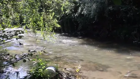 Râul Cerna, groapa de gunoi a hunedorenilor