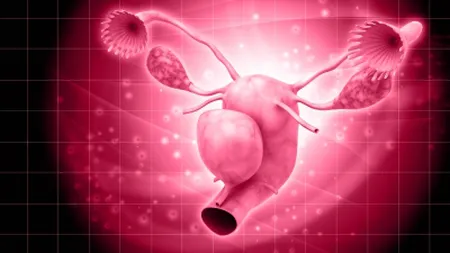 Mituri despre fertilitate care te împiedică să rămâi însărcinată