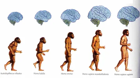 Noi descoperiri arheologice datează originile Homo Sapiens cu 350.000 de ani în urmă