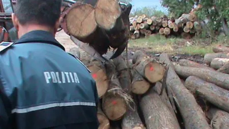 Un poliţist din Arad a furat 22 de tone de lemne. Materialul lemnos ar fi trebuit folosit la încălzirea postului de poliţie