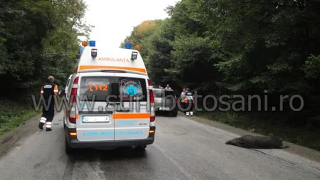 Ambulantier, amendat pentru viteză după ce a lovit un porc mistret. 