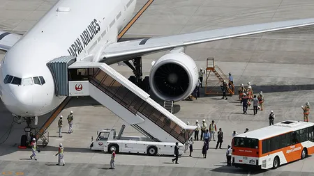 O cursă aeriană Tokyo-New York a fost deturnată de o pasăre. Avionul a aterizat de urgenţă