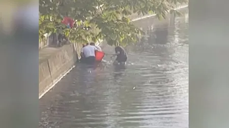 Imaginile zilei: Căţel salvat din râu după furtună VIDEO