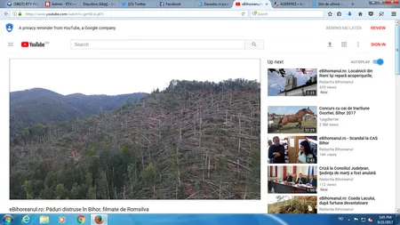 Imagini apocaliptice după furtună. Peste 700 de hectare de pădure au fost doborâte complet de vijelii VIDEO filmat cu drona