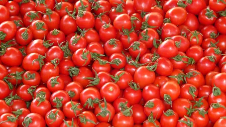 INCREDIBIL: Roşiile de import din supermarket sunt vopsite din verzi în roşii