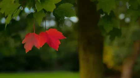 Motive să iubeşti o persoană născută în septembrie