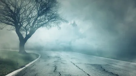 Realitate terifiantă sau trucaj? Fantoma unei mirese a apărut pe marginea drumului, în Gorj FOTO