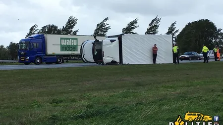 COD PORTOCALIU de furtuni în Olanda