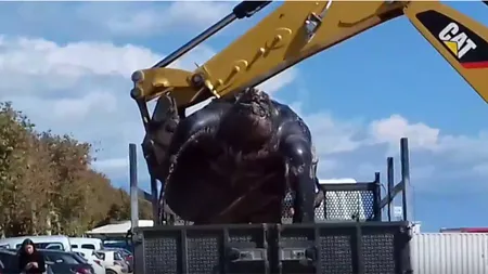 O broască enormă a fost găsită pe o plajă spaniolă. A fost nevoie de macara pentru a căra creatura VIDEO