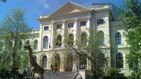 Muzeul Grigore Antipa refuză să cedeze aproape jumătate din suprafaţa liberă de construcţii a instituţiei