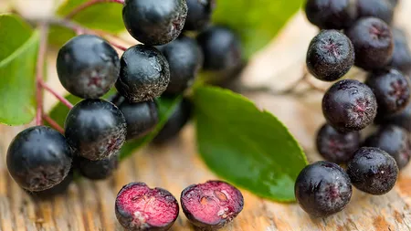 Aronia, cel mai puternic fruct, cu beneficii uimitoare