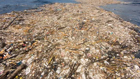 Unul dintre cele mai frumoase locuri din lume a ajuns o groapă de gunoi. Imagini tulburătoare din Caraibe FOTO