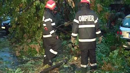 Copac doborât de vijelie peste un spital din Capitală, pacienţi evacuaţi de urgenţă