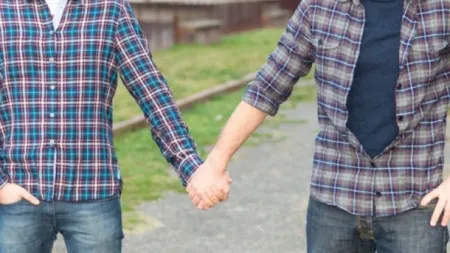 Proiect privind parteneriatul civil: Partenerii de acelaşi sex nu pot adopta copii, împreună sau separat