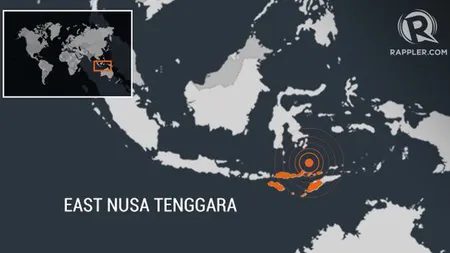 Cutremur cu magnitudinea 6,7 în Indonezia. Nu s-a emis alertă de tsunami