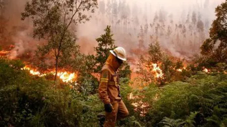 Ministrul de Interne al Portugaliei a demisionat din cauza slabei reacţii a autorităţilor faţă de incendiile de vegetaţie