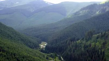 Sute de saci cu gunoaie strânse de pe muntele Meseş de lângă Zalău, într-o acţiune de voluntariat