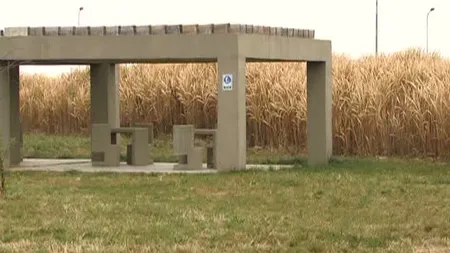 Cheltuială inutilă pentru un parc abandonat. Municipalitatea vrea să monteze camere de 40.000 de lei