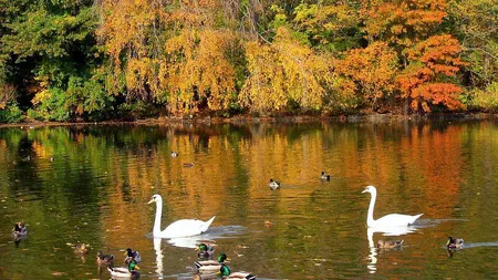 PROGNOZA METEO pe trei zile: Vremea rămâne frumoasă şi caldă până la sfârşitul săptămânii